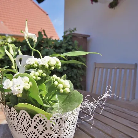 Apartamento Reetferienhaus Brandseeschwalbe *